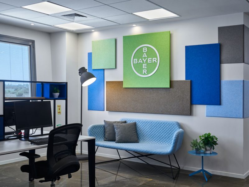 Sarit-Balachsan---Bayer-Offices-Hod-HaSharon-23